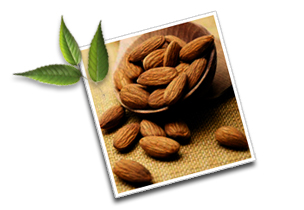 Informations on almonds