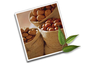 Informations on nuts