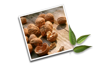 Informations on walnuts